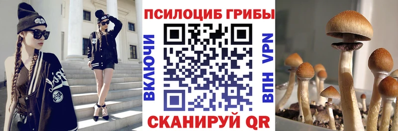 Псилоцибиновые грибы Magic Shrooms  Алагир 
