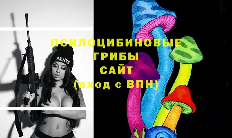Галлюциногенные грибы MAGIC MUSHROOMS Алагир